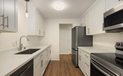 Mountlake Terrace 2-Bedroom Condo For Rent